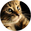 Tyrelle “Slackr T” Prince profile picture